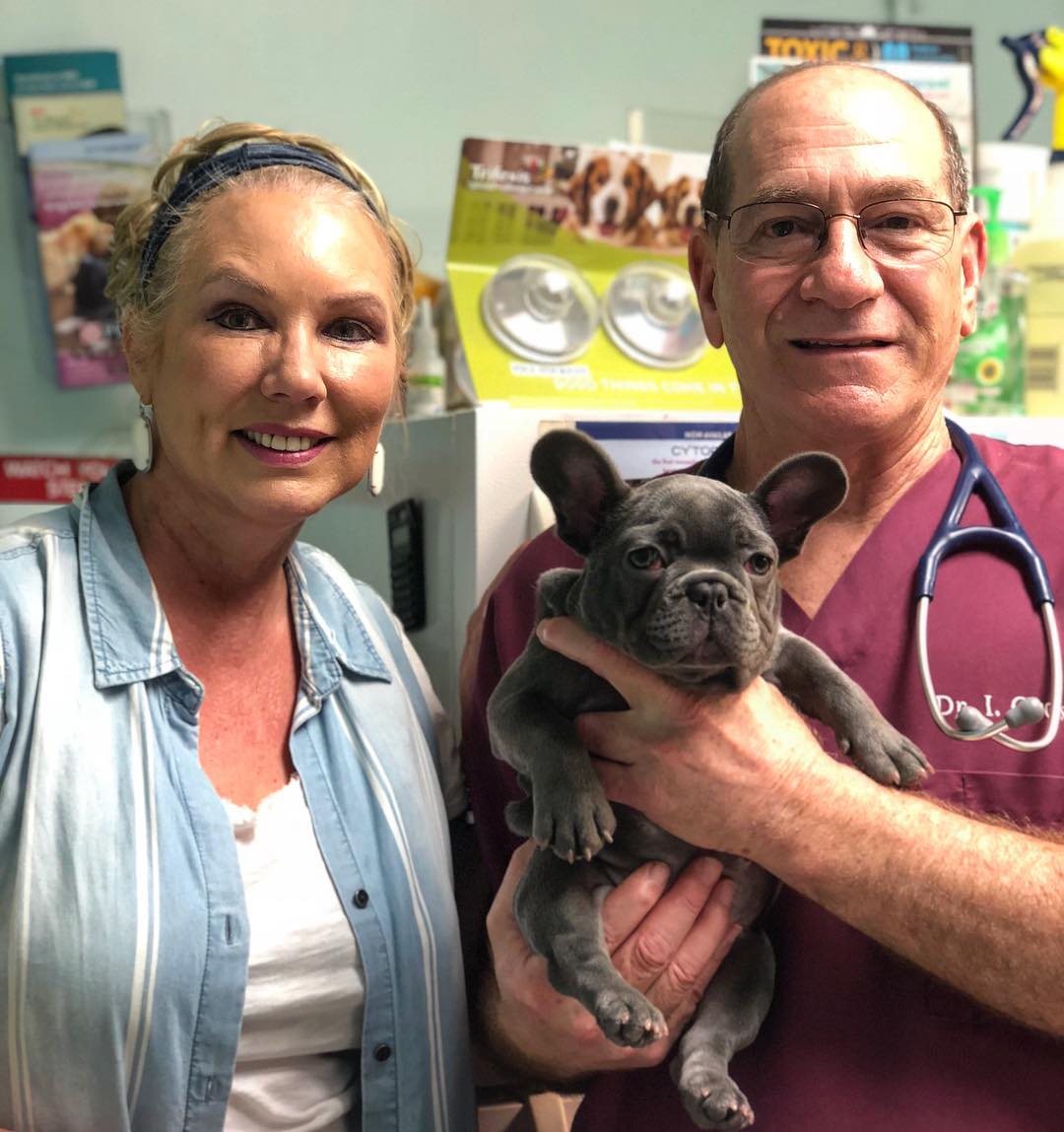 Palms West Veterinary Hospital team with dog