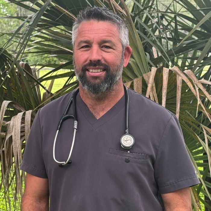 vet staff holding a kitten