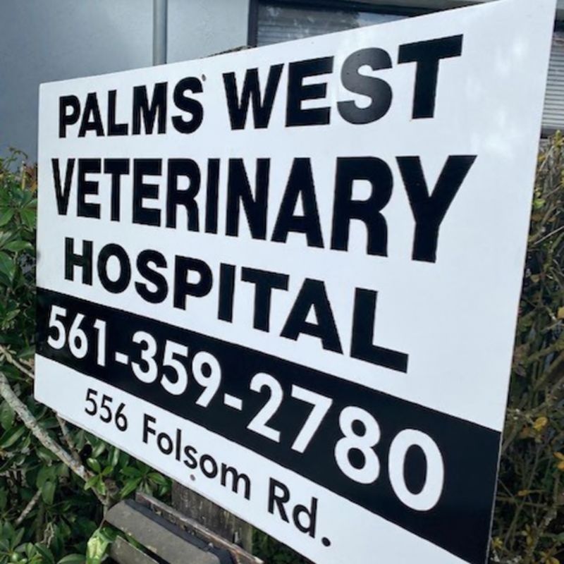 Palms West Veterinary Hospital sign